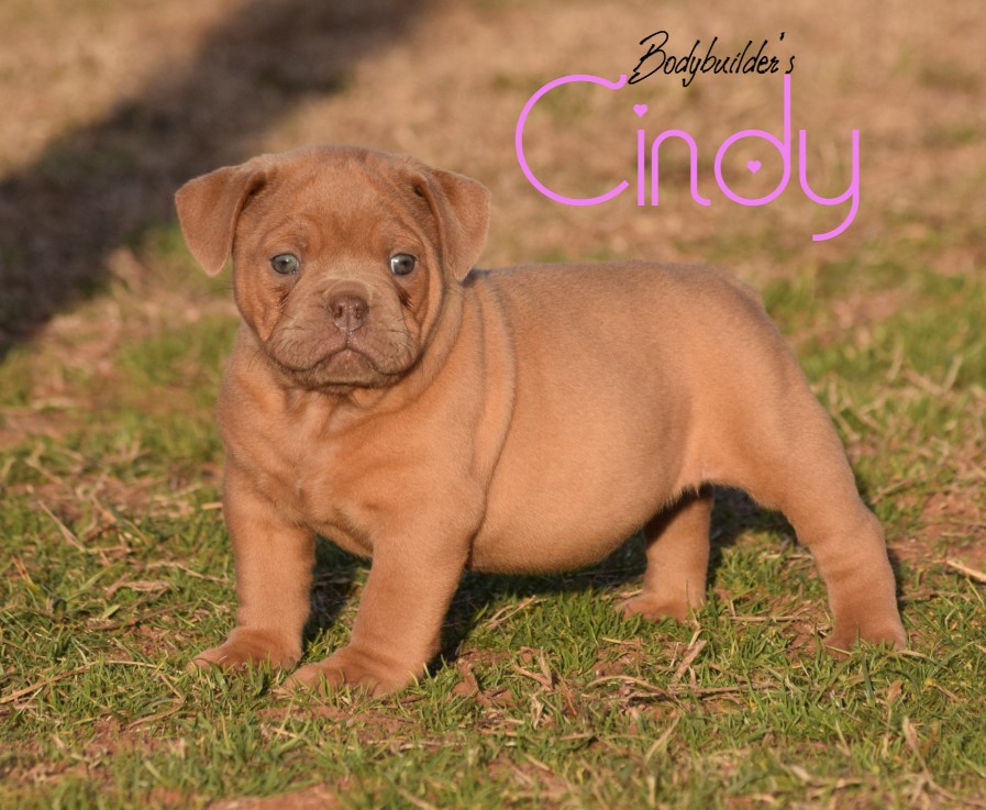 Cindy